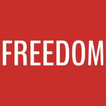 'Wings of FREEDOM' - Kids/Youth Hoodie Design