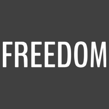 'Wings of FREEDOM' - Unisex Stonewash Tee Design